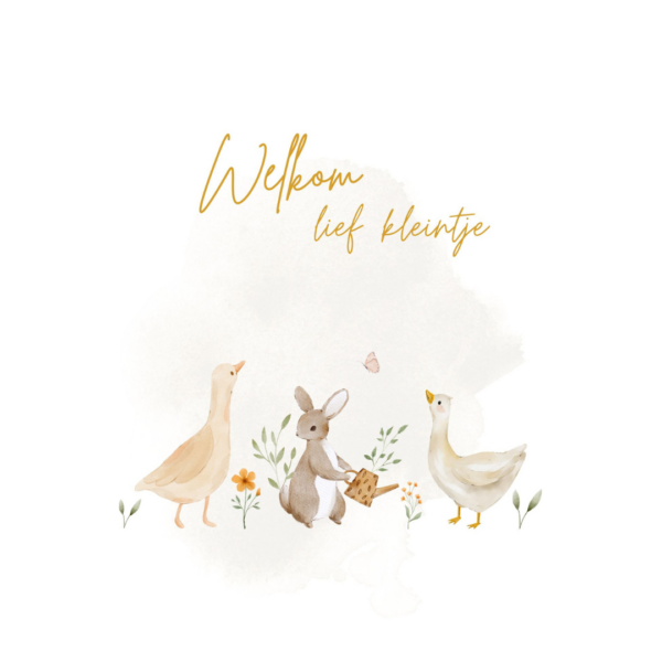 Aquarel illustratie met eenden, konijn en tekst Welkom lief kleintje op lichtgrijze achtergrond